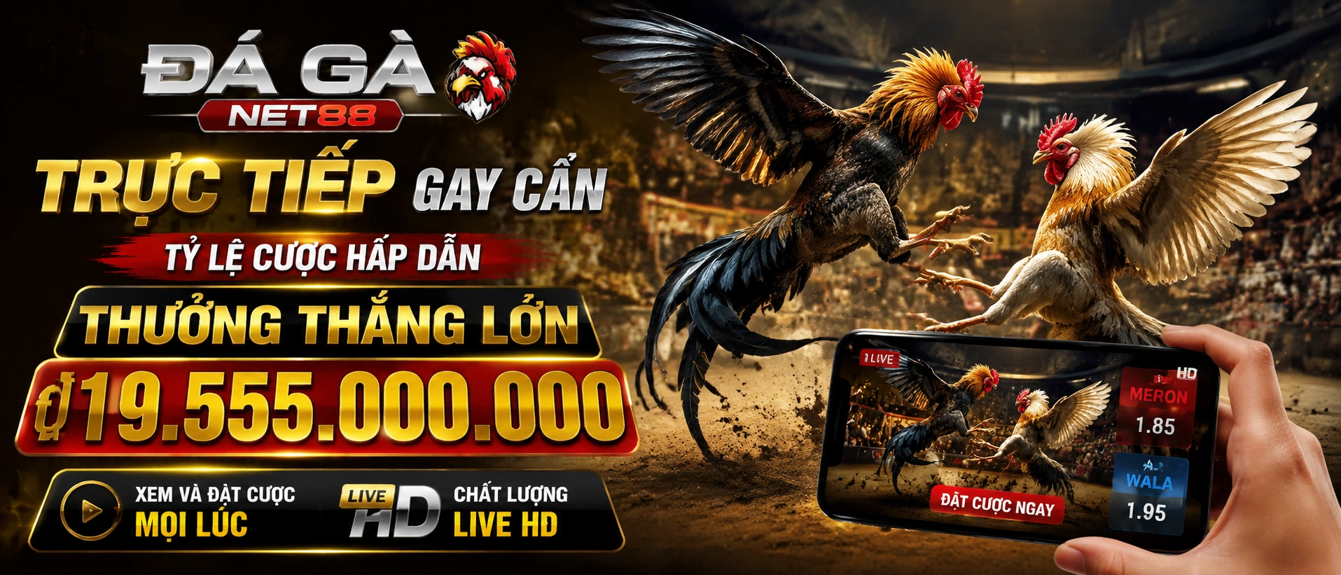 Đá Gà visual 2
