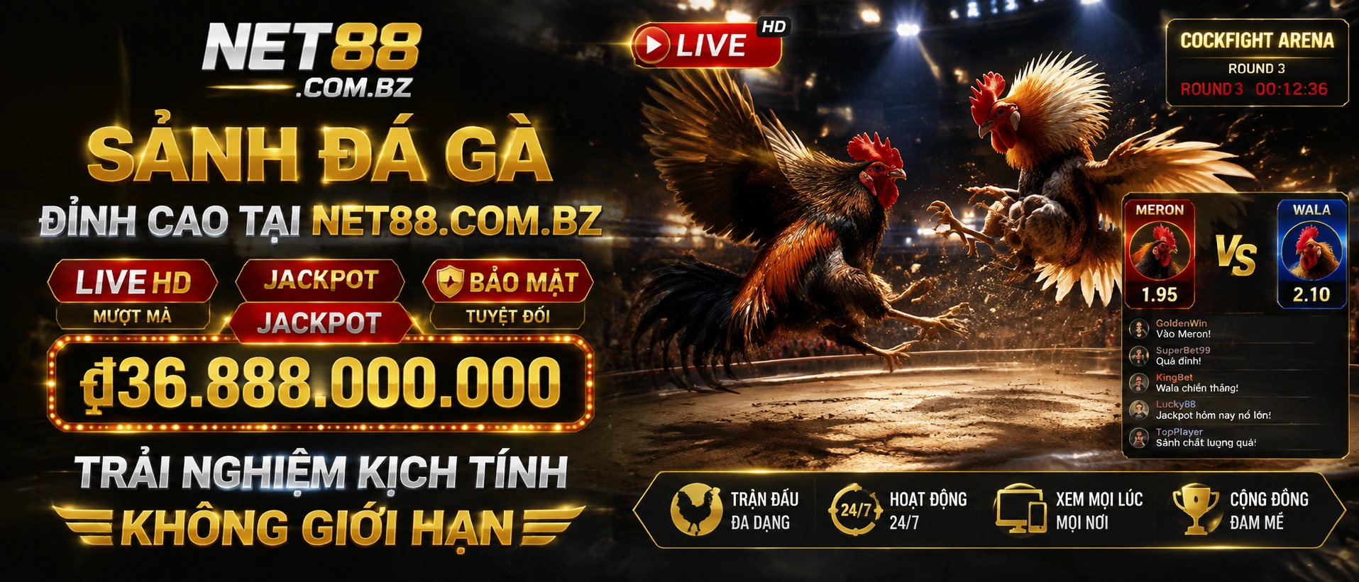 Đá Gà visual 3